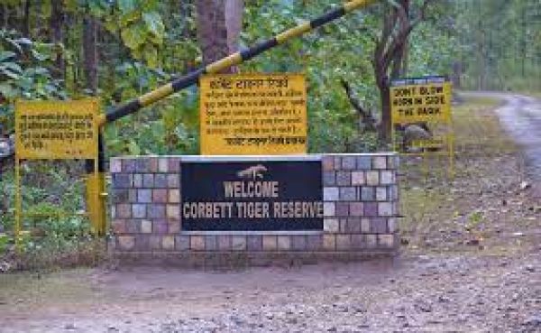 Jim Corbett National Park: Panje ki nishaan in tiger terrain