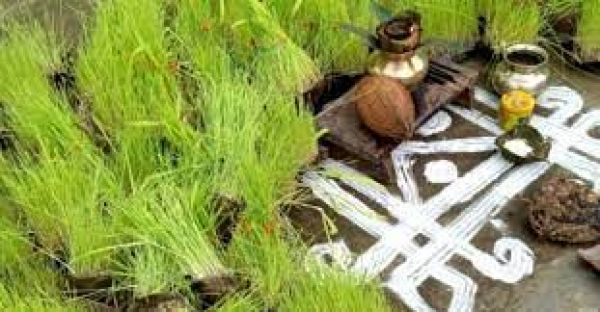 छत्तीसगढ़ की और एक पहचान है भोजली गीत 