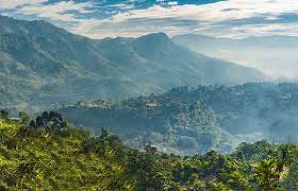 प्रचंड गर्मी के दिनों में भी वसंत का आनंद देती हैं नेतरहाट की खूबसूरत वादियां