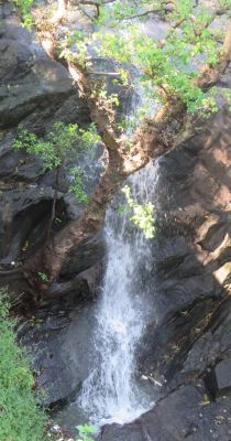 बारिश से निखरा माउंट आबू का सौंदर्य, झरनों की कलकल ध्वनि और नक्की झील की चादर बनी सैलानियों के आकर्षण का केंद्र